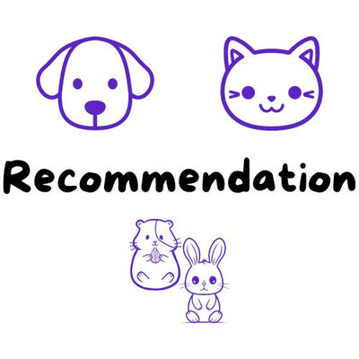 Recommendation