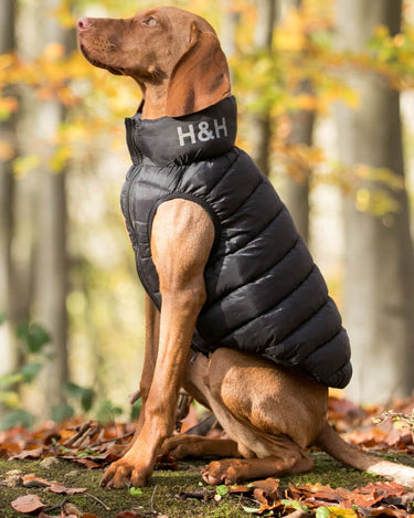 Doudoune réversible pour chien - Noir et Gris