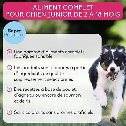 Présentation des croquettes Nutrivet Super Premium Junior, indiquant les bénéfices et l'absence de colorants artificiels.