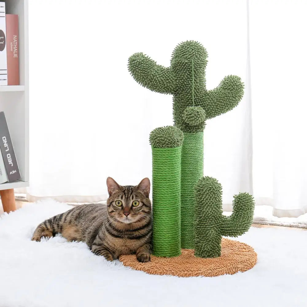 Chat tigré allongé à côté d'un arbre à chat vert en forme de cactus avec une base marron, dans un intérieur lumineux avec une étagère de livres en arrière-plan.