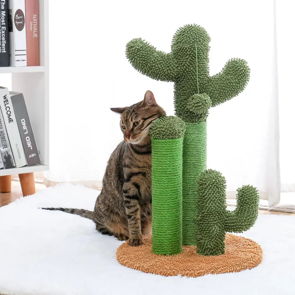 Chat tigré frottant sa tête contre un arbre à chat vert en forme de cactus avec une base marron, dans un intérieur lumineux avec une étagère de livres en arrière-plan.