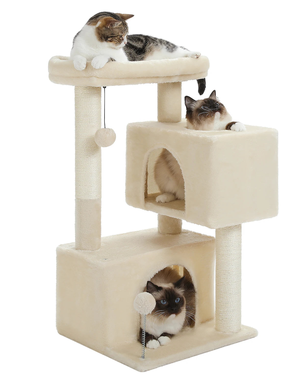 Arbre à chat beige de 80 cm avec trois niveaux, deux condos spacieux et un grand perchoir rembourré, avec deux chats.