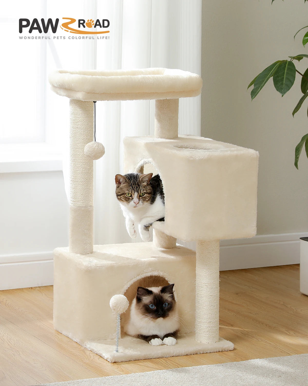 Arbre à chat beige de 80 cm avec deux condos spacieux, un perchoir rembourré et des poteaux griffoirs en sisal, avec deux chats