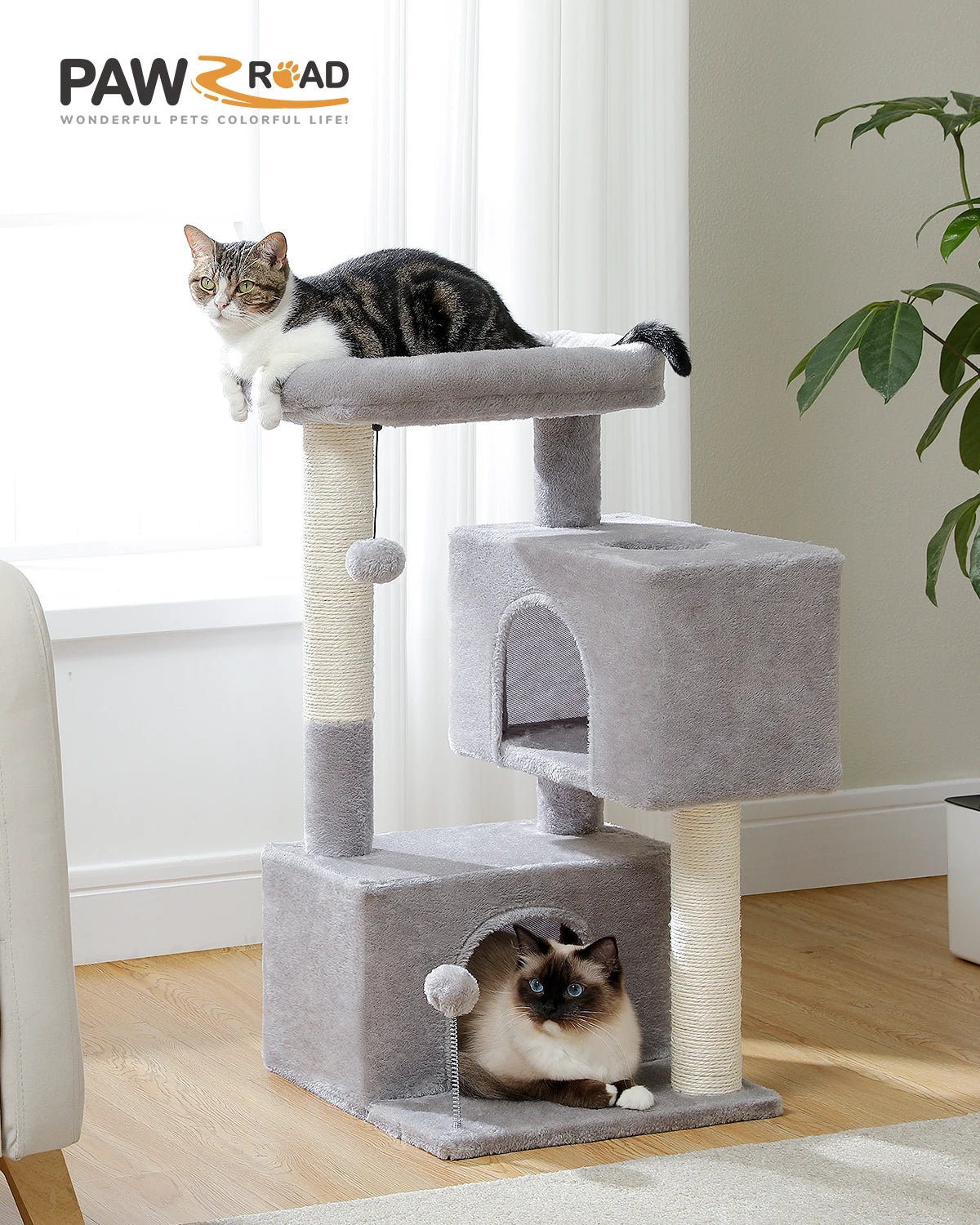 Arbre à chat gris clair de 80 cm avec deux condos spacieux, un perchoir rembourré et des poteaux griffoirs en sisal, avec deux chats dans un salon moderne.