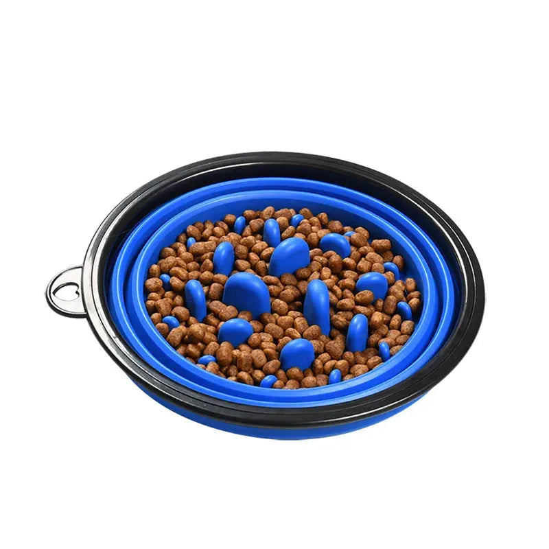 Bol pliable en silicone bleu pour animaux de compagnie, rempli de croquettes.