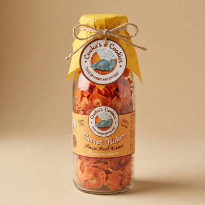 CARROT CHIPS – Le veggie topper naturel qui chouchoute la digestion