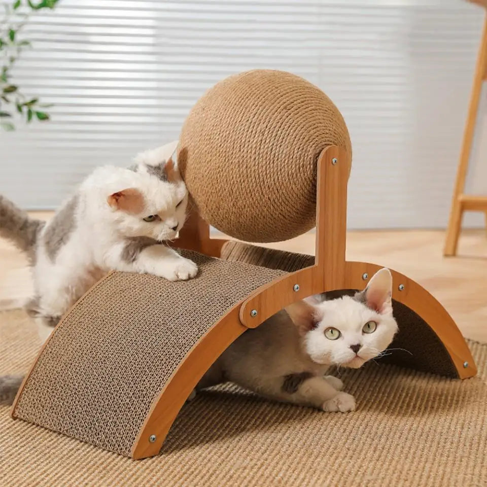 Deux chats s'amusent sur un griffoir en bois avec une boule de sisal, l'un grimpant et l'autre caché dessous.