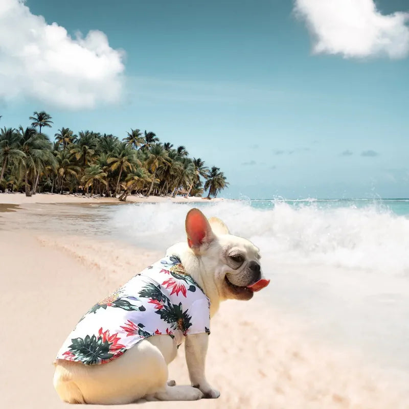 Un chien portant une chemise hawaïenne blanche avec des motifs d'ananas et de fleurs rouges, assis sur une plage tropicale avec des palmiers en arrière-plan et des vagues de l'océan.