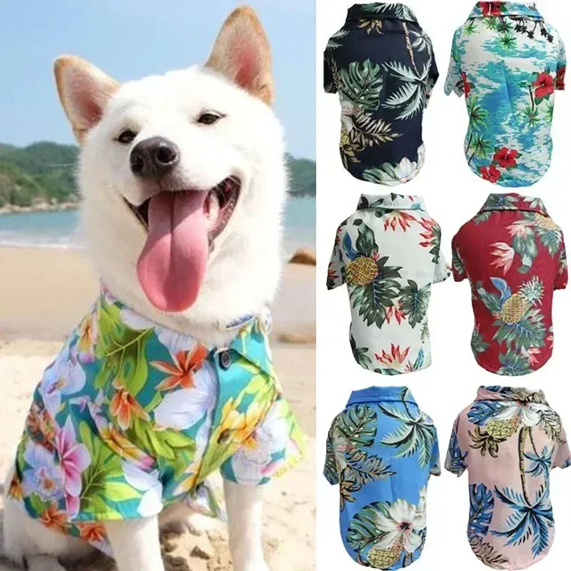 Chien heureux portant une chemise hawaïenne colorée en bord de mer avec plusieurs autres modèles à côté.