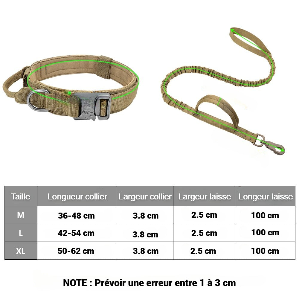  L'image montre un collier et une laisse pour chien avec des dimensions précises. Les tailles disponibles sont M (longueur du collier : 36-48 cm, largeur : 3.8 cm, largeur de la laisse : 2.5 cm, longueur de la laisse : 100 cm), L (42-54 cm, 3.8 cm, 2.5 cm, 100 cm), et XL (50-62 cm, 3.8 cm, 2.5 cm, 100 cm). Une note indique qu'il peut y avoir une erreur de mesure entre 1 et 3 cm.