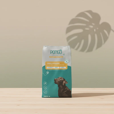 Sac de croquettes hypoallergéniques chien Pongo Premium, nutrition naturelle et durable, fabriqué au Portugal.