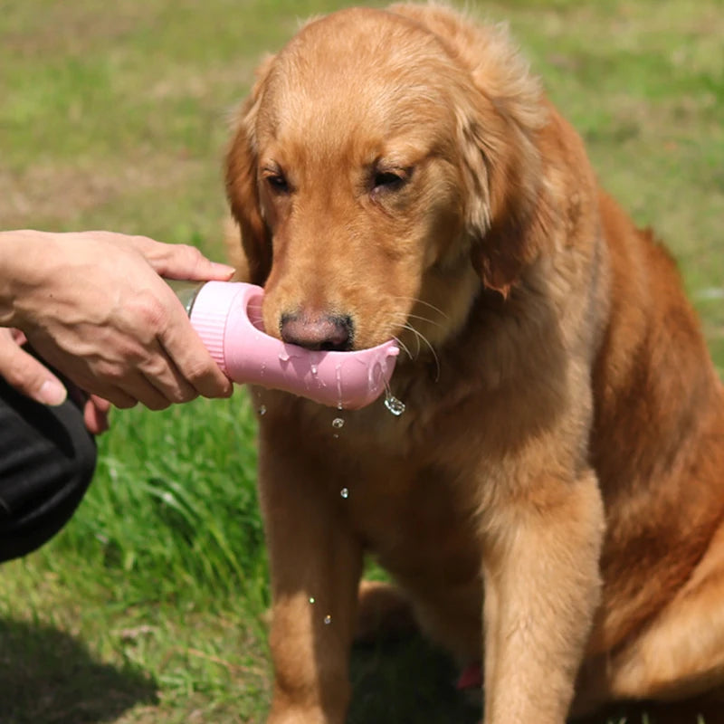 Un chien Golden Retriever buvant de l'eau à partir d'une bouteille d'eau portable rose.