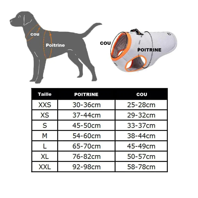 Tableau des tailles pour le manteau rafraichissant pour chien TRUE LOVE, indiquant les mesures de la poitrine et du cou pour chaque taille disponible.