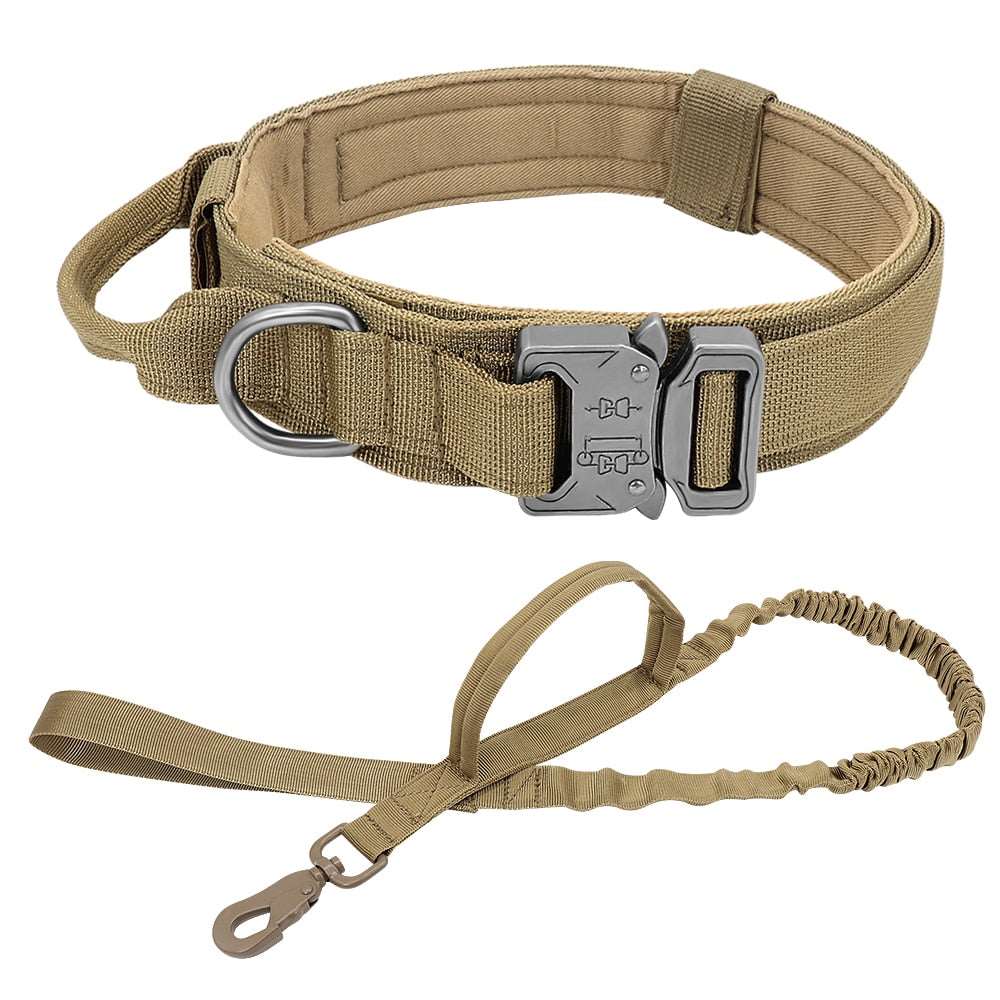 Collier Tactique Militaire pour Chien Fort et Laisse Élastique : Le Duo de l'Entraînement et de la Protection