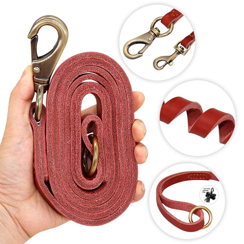 Collier et laisse en cuir personnalisés pour chiens : une plaque gravée offerte pour un look unique