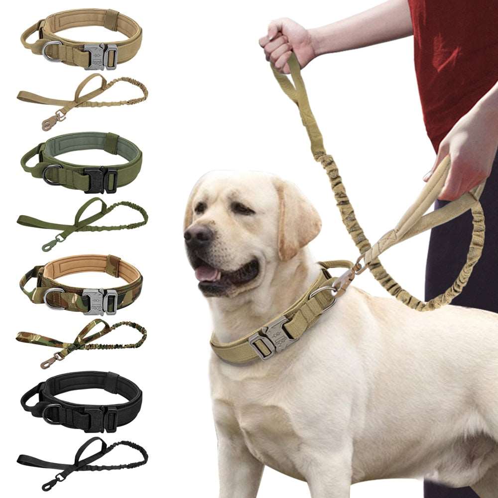 Collier Tactique Militaire pour Chien Fort et Laisse Élastique : Le Duo de l'Entraînement et de la Protection