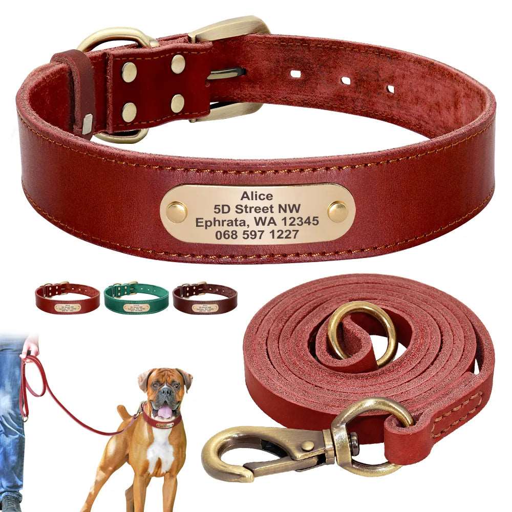 Collier et laisse en cuir personnalisés pour chiens : une plaque gravée offerte pour un look unique