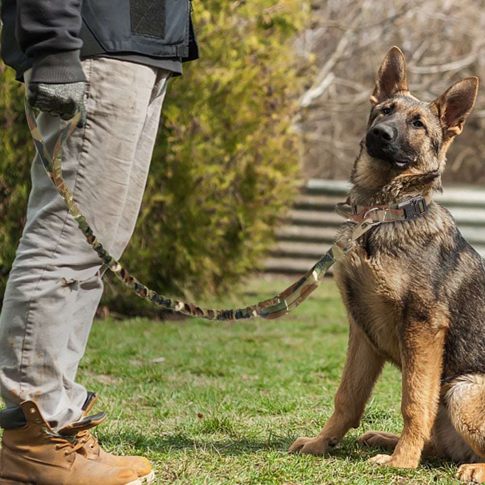 Collier Tactique Militaire pour Chien Fort et Laisse Élastique : Le Duo de l'Entraînement et de la Protection