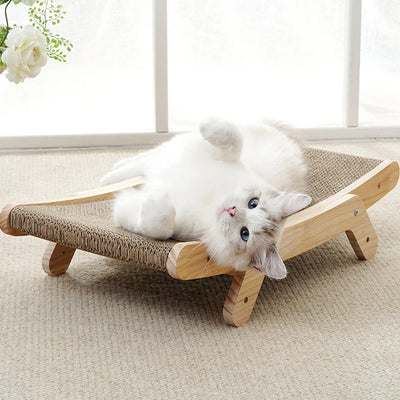 Chat blanc couché sur un lit en bois massif avec surface à gratter.