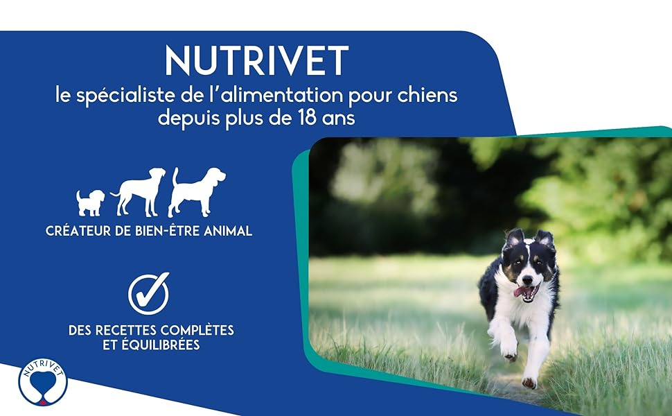 Affiche Nutrivet soulignant les 18 ans d'expertise en alimentation pour chiens.