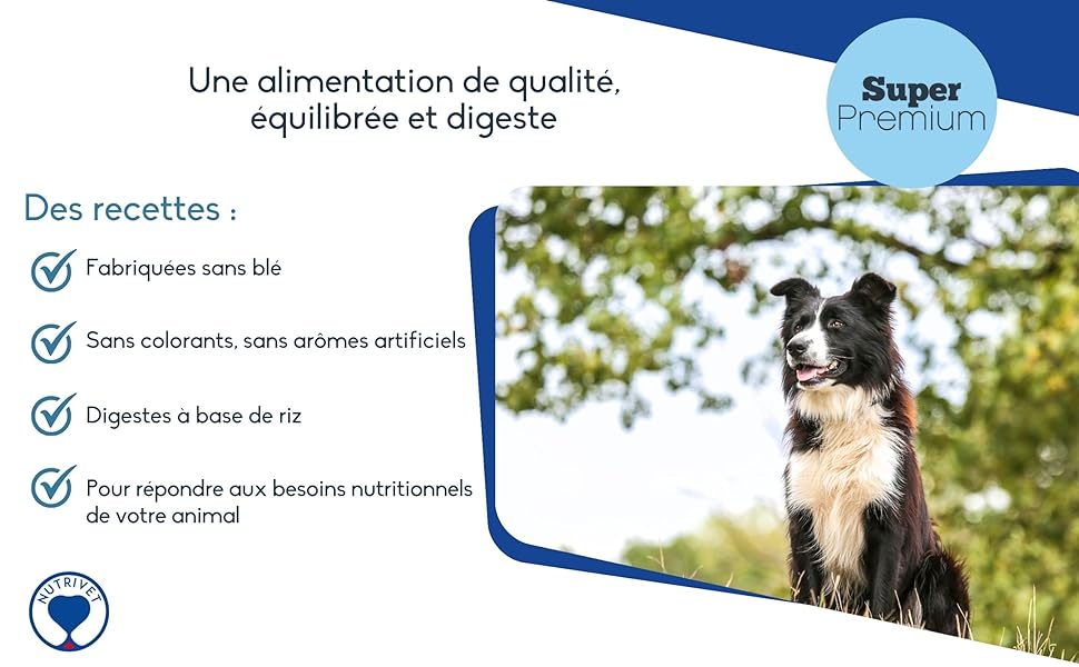 Affiche Nutrivet montrant les recettes équilibrées et digestes des croquettes pour chiens.