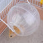 Balle de fitness pour hamster et souris : 12 ou 14 cm de pur divertissement pour vos petits compagnons