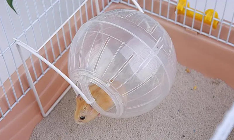 Balle de fitness pour hamster et souris : 12 ou 14 cm de pur divertissement pour vos petits compagnons