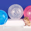 Balle de fitness pour hamster et souris : 12 ou 14 cm de pur divertissement pour vos petits compagnons