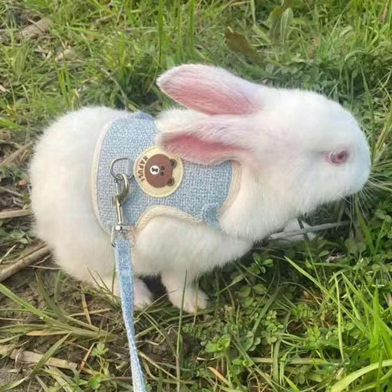 Harnais et Laisse Réglable pour Lapin - Promenade en Sécurité avec votre lapin, Matériaux de Qualité, Couleurs Vives