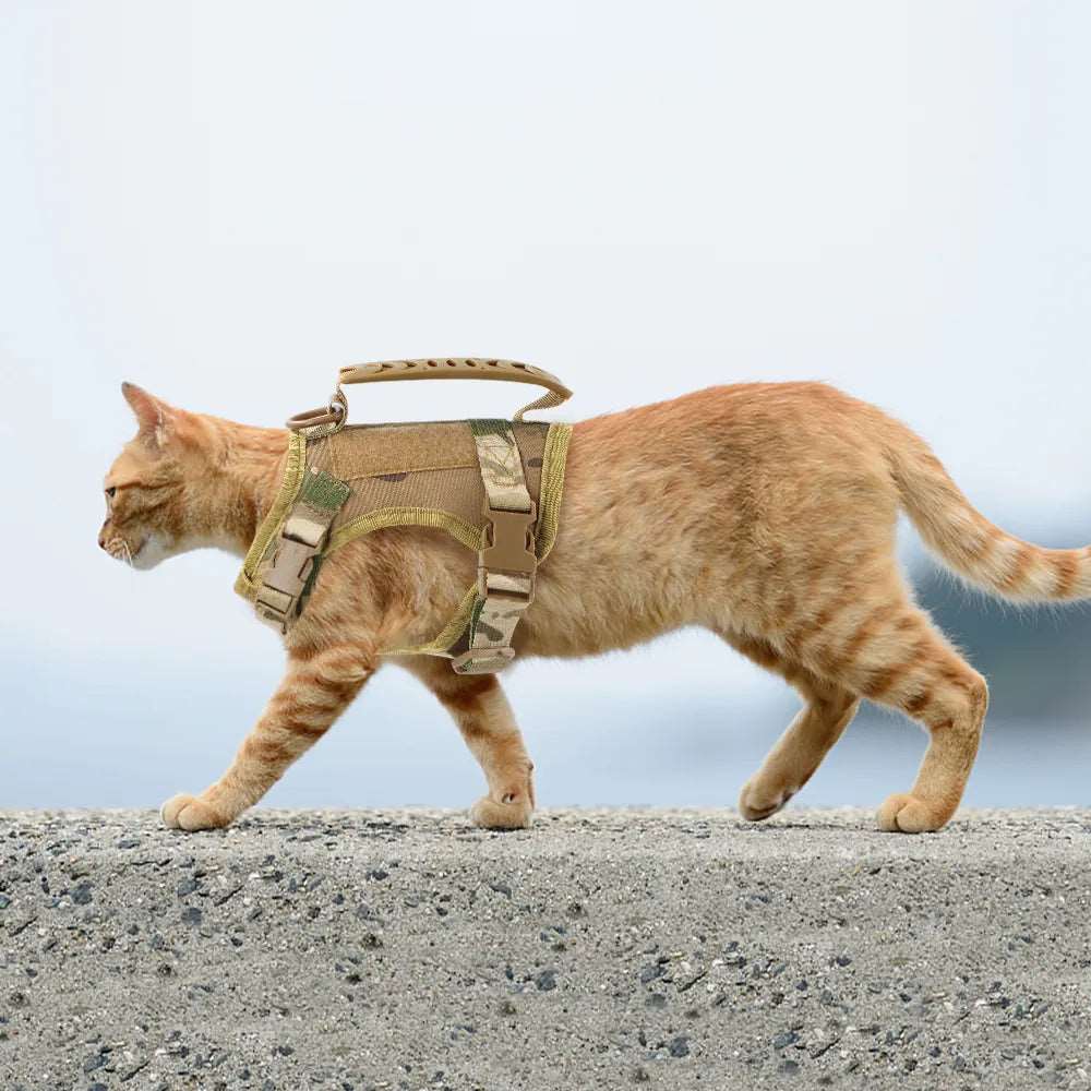 Harnais Tactique Ajustable pour Chat avec Boucles Rapides - Confort et Sécurité, Idéal pour Promenades et Sorties avec vos chats