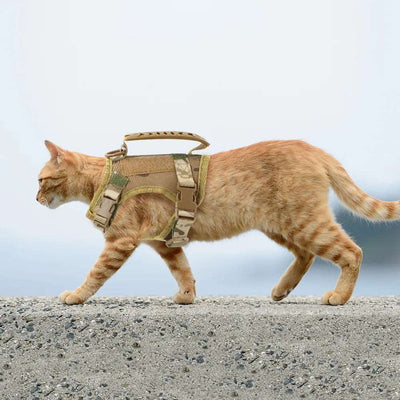 Harnais Tactique Ajustable pour Chat avec Boucles Rapides - Confort et Sécurité, Idéal pour Promenades et Sorties avec vos chats