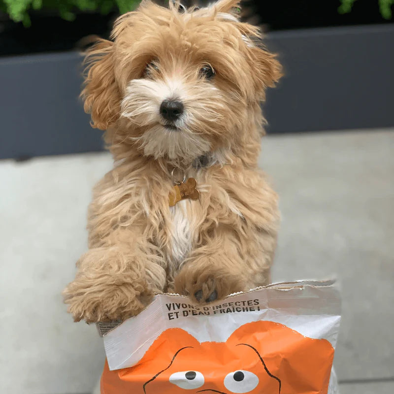 Croquette Hypoallergénique pour Chiot - Digeste et riche en protéine