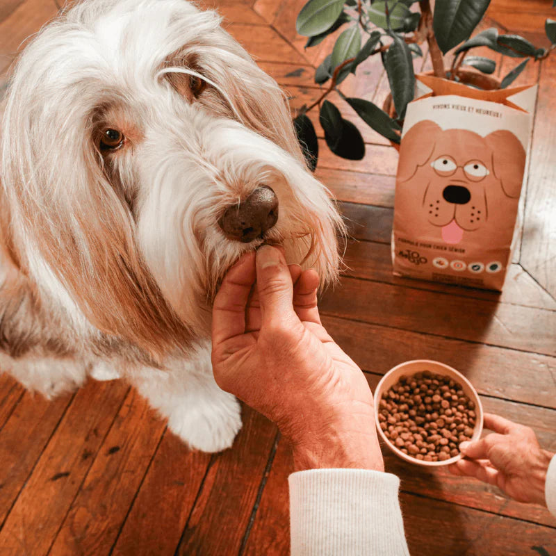 Croquette Hypoallergénique pour Chien Senior - Riche en Fibre et Oméga3