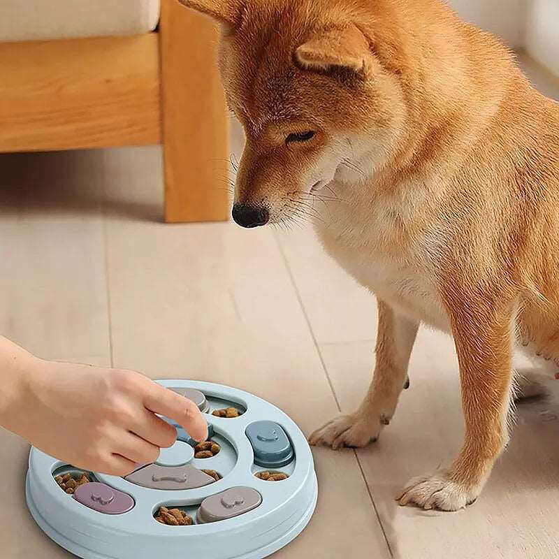 Jouet Distributeur de Nourriture Lent pour Chiens et Lapins : Un combo intelligent pour le bonheur de votre animal