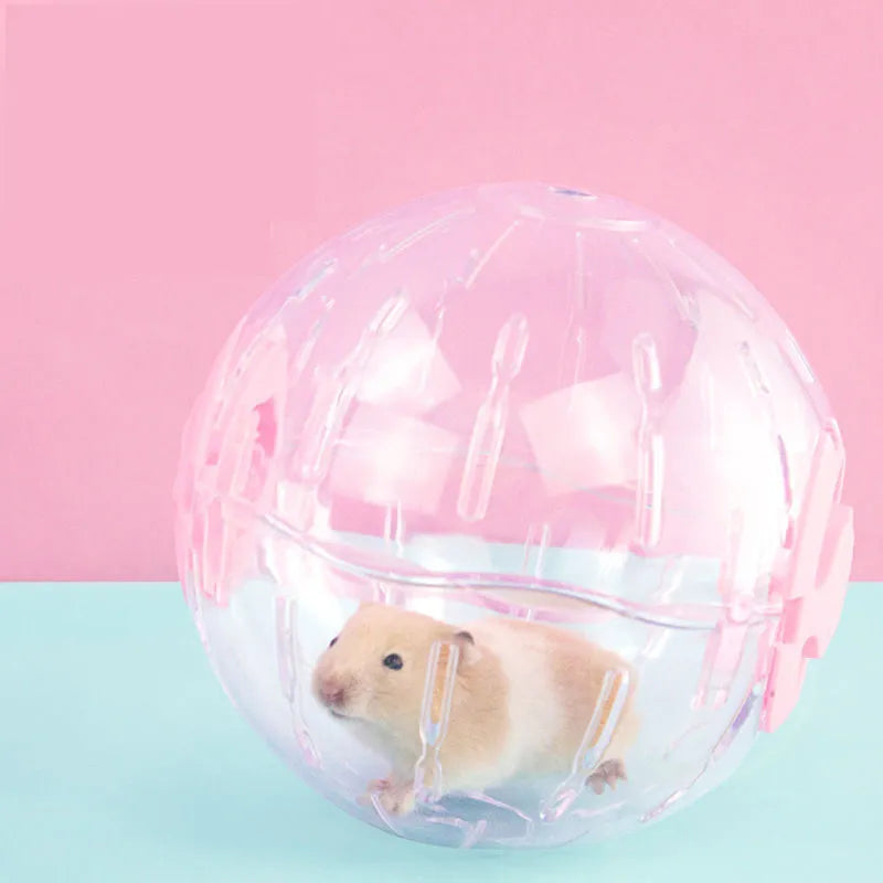 Balle de fitness pour hamster et souris : 12 ou 14 cm de pur divertissement pour vos petits compagnons