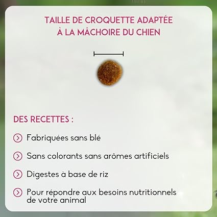 Vue de la taille de croquette Nutrivet Super Premium Junior adaptée à la mâchoire du chiot.