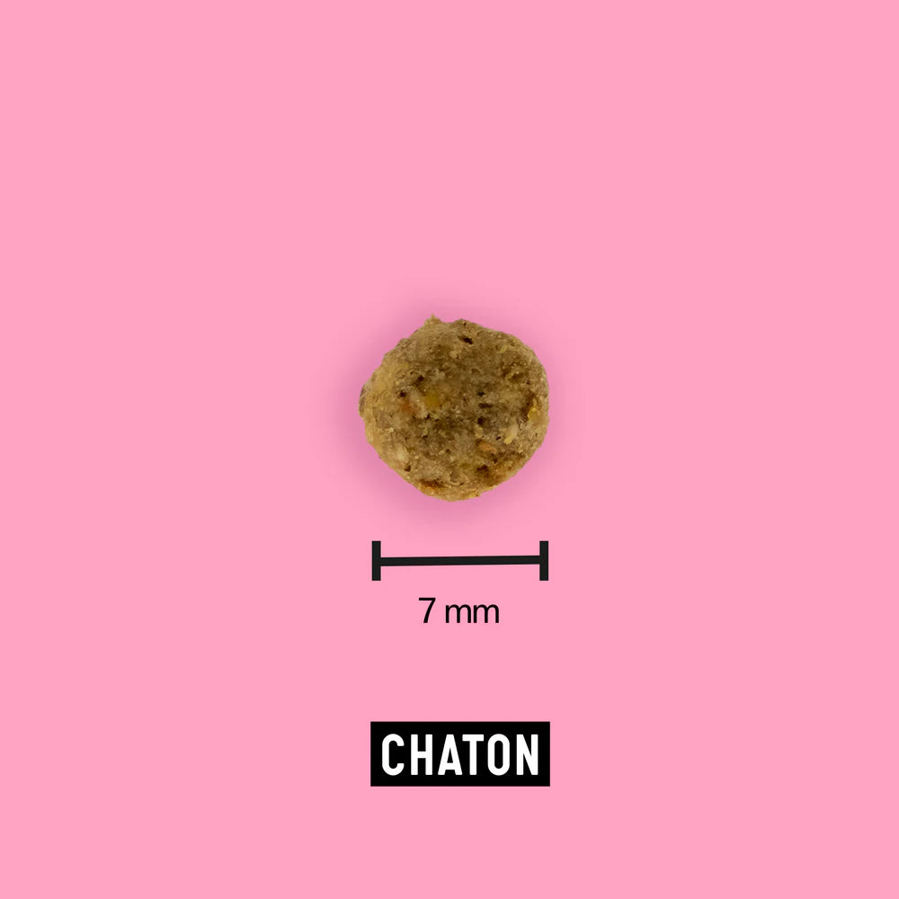 Croquette Hypoallergénique pour Chaton et chatte en gestation/Allaitante - Riche en Protéine