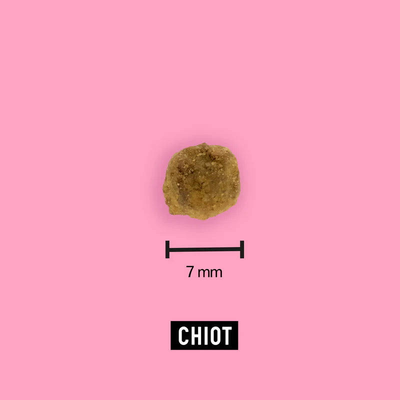 Croquette Hypoallergénique pour Chiot - Digeste et riche en protéine