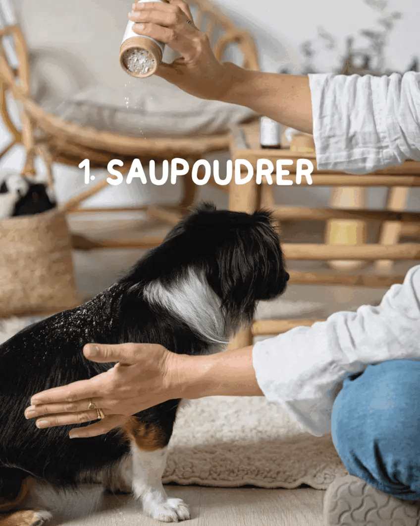 Shampoing Sec Certifié Bio - Nettoyage Doux et Naturel pour Chiens et Chats