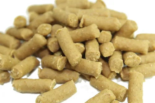 Friandise moelleuse au fromage - Pour l'entrainement de votre Chien et une Friandise pour votre Chat